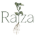 raizachas